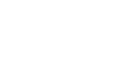 Bergman