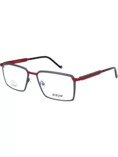 Szemüveg alkatrész - Jobb szár PRAGUE 8488-C2 (L008934)
