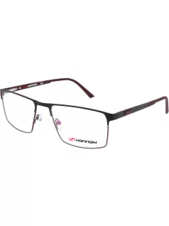 Szemüvegkeret HANNAH 6540-C2 (L008139)